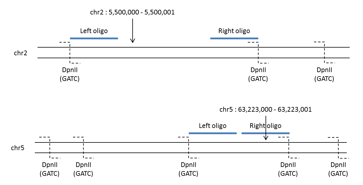 _images/capture_oligo_gen.png